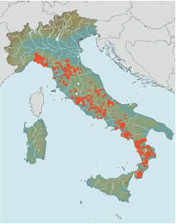 Distribuzione Rana Italica